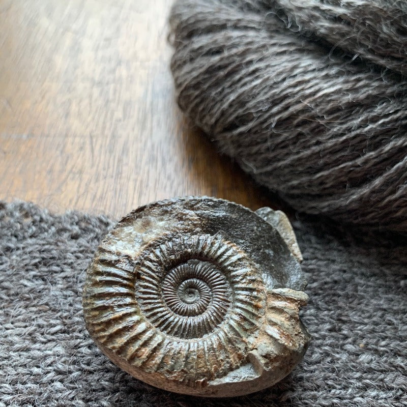 Daughter of a Shepherd - Ammonite
