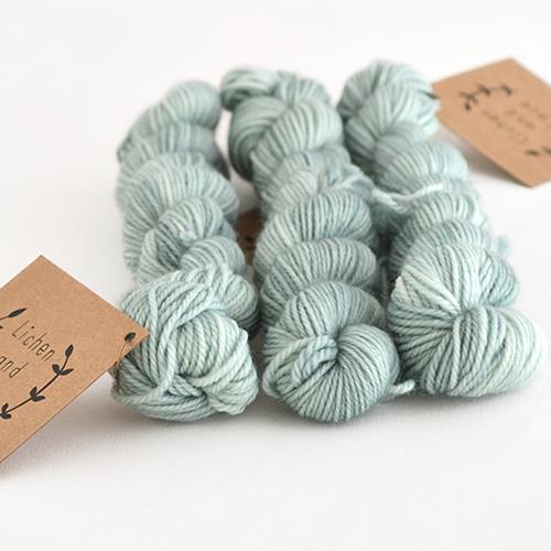 Lichen and Lace - Sock Minis