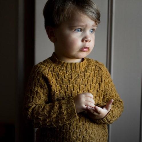 Viggo's Sweater - Trine Bertelsen