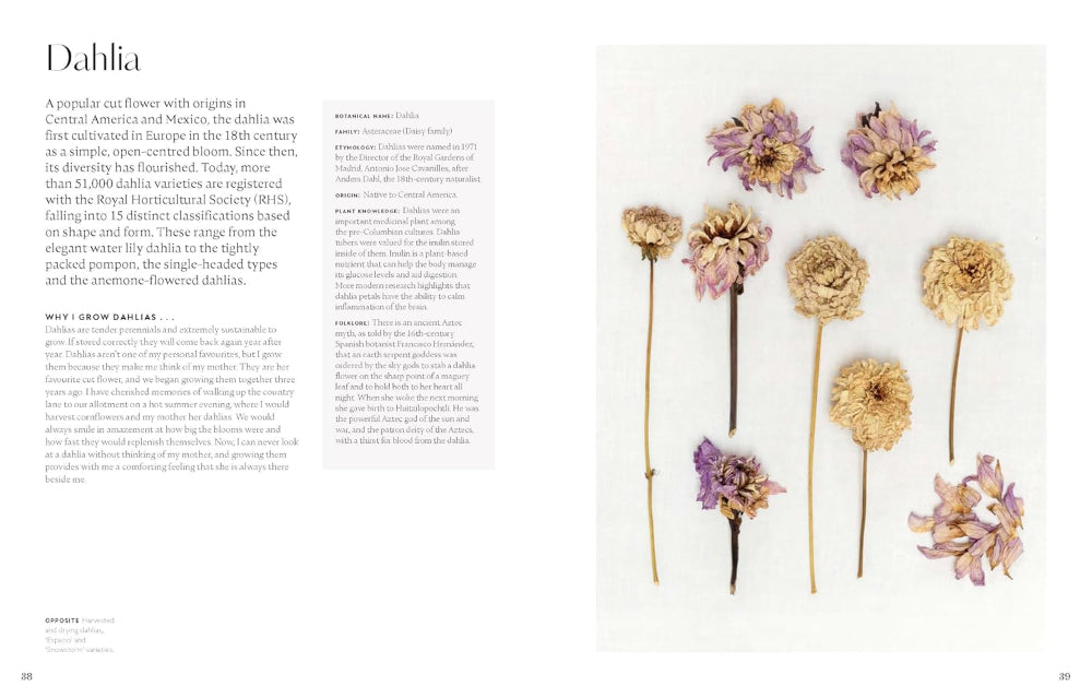 Stitching with Nature - Katerina Knight  PREORDER