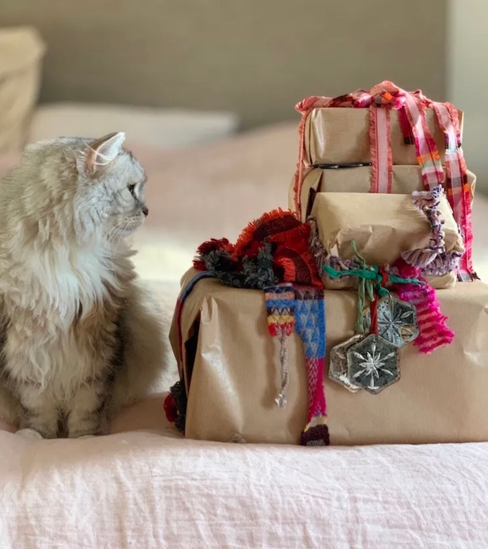 Cat sitting next to a suitcase with colorful ribbons and decorations on a bed.