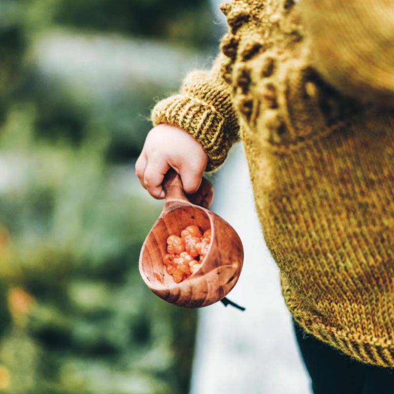 Arctic Knitting : The Magic and Nature of Colourwork - Annika Konttaniemi