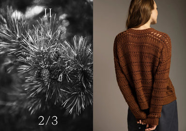 Brown crocheted sweater worn by a person on a plain background, with a close-up of pine needles on the left.