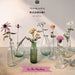 A book cover titled "The lovely world of RICORUMI" by Ume, Niels Niels, featuring several glass vases with dried and fresh flowers on a tabletop against a soft beige background. The cover includes the publisher mark "BLOOM" at the top and a pink banner reading "In The Meadow" near the bottom.