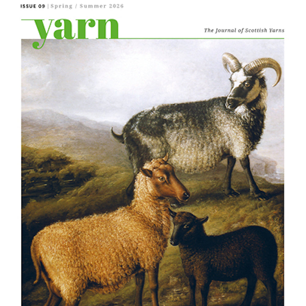 Cover of 'yarn' magazine featuring a painting of sheep and goats in a landscape.