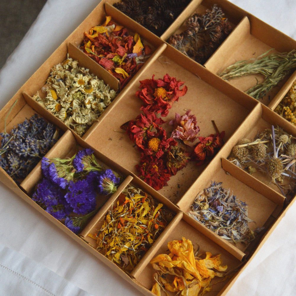 Stitching with Nature Workshop with Katerina Knight