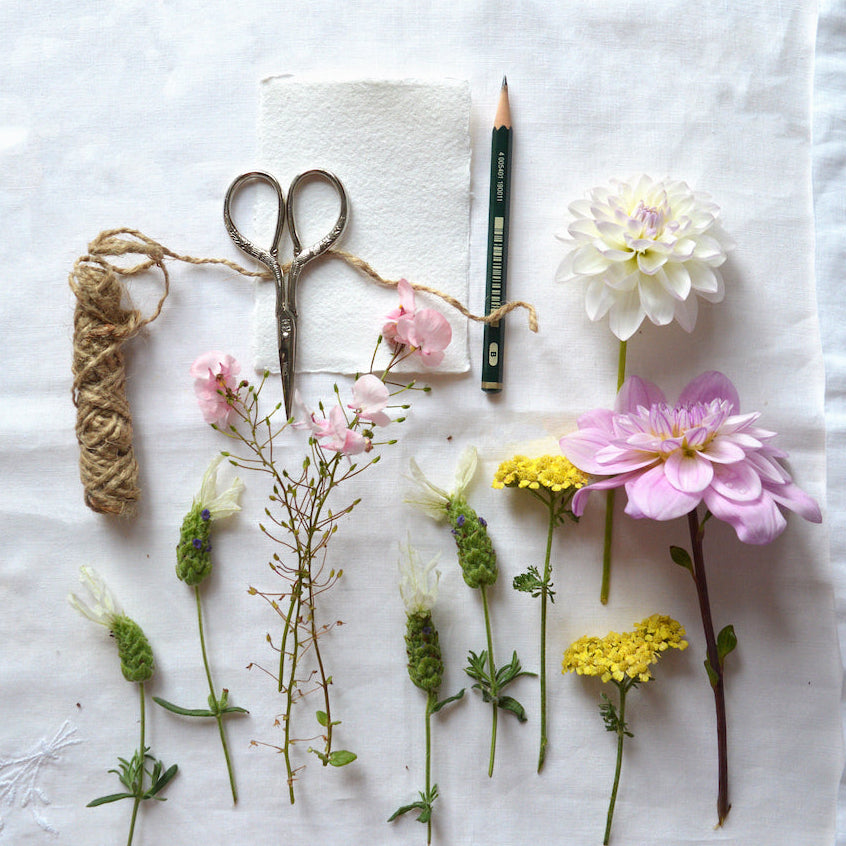 Stitching with Nature Workshop with Katerina Knight