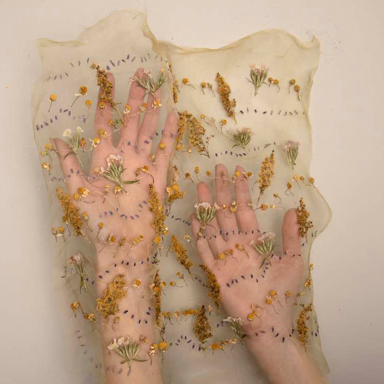 Stitching with Nature Workshop with Katerina Knight