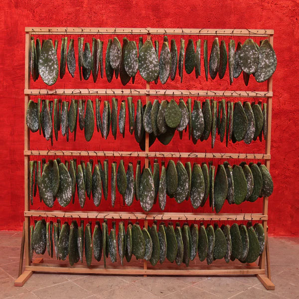 Selvedge - Issue 128 Routes