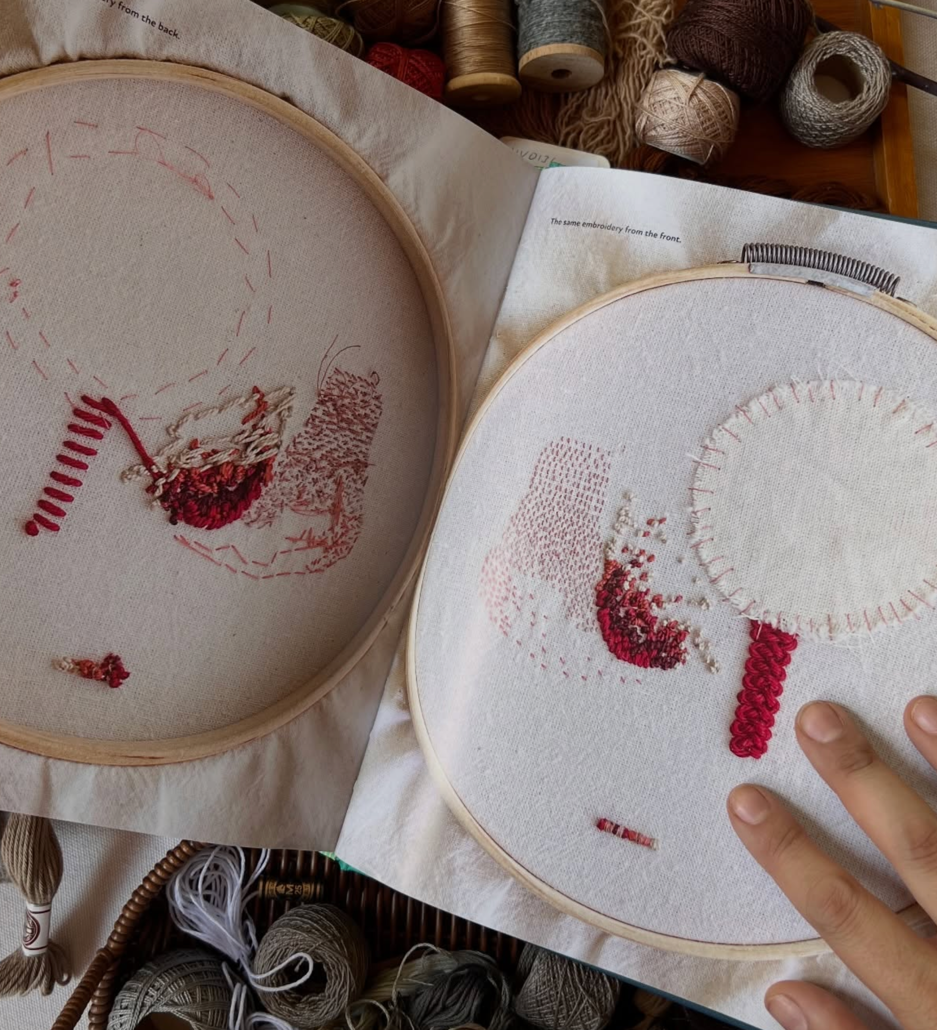 The Embroidery of Mexico PREORDER