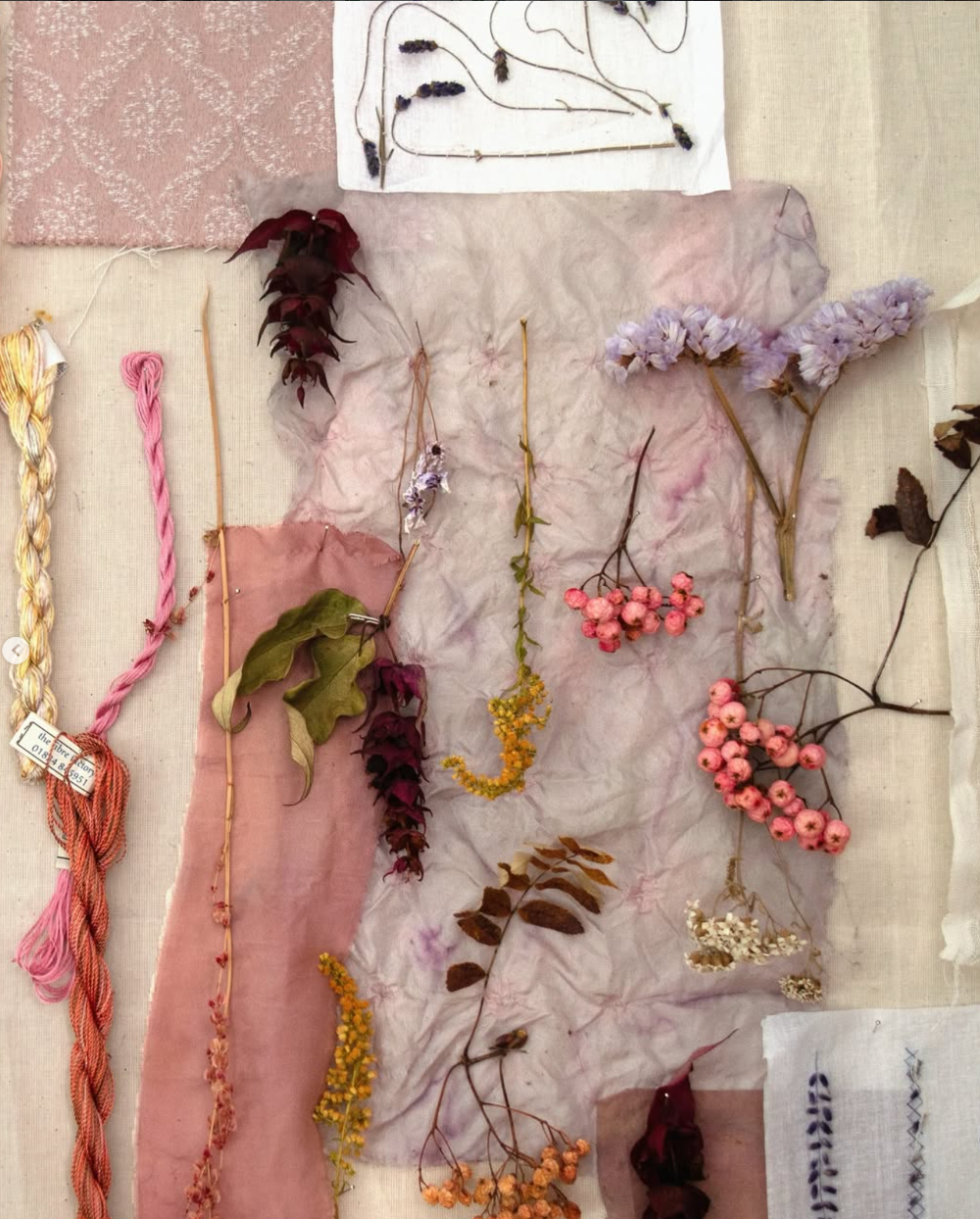 Stitching with Nature Workshop with Katerina Knight