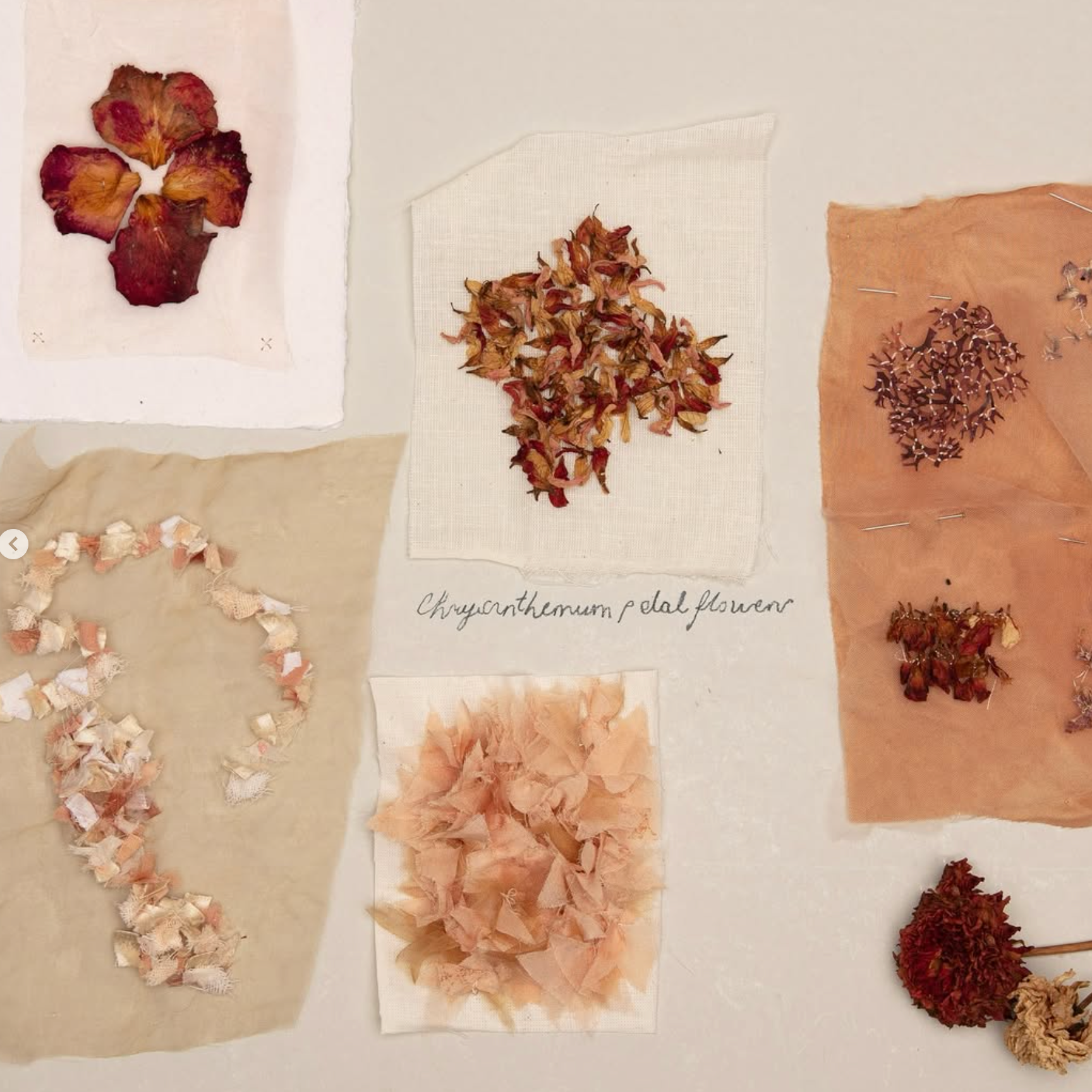 Stitching with Nature Workshop with Katerina Knight