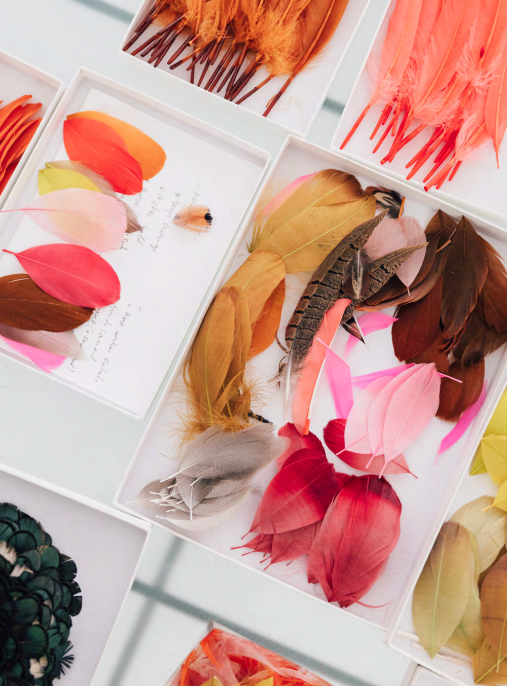 Faire Magazine Issue 14