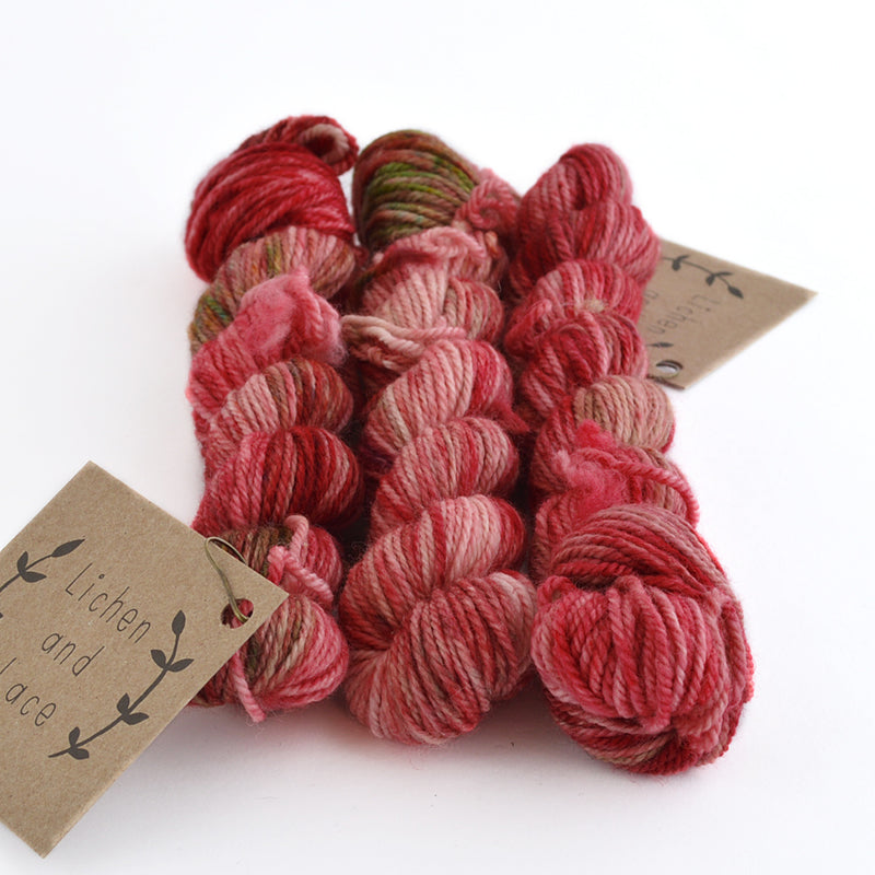 Lichen and Lace - Sock Minis