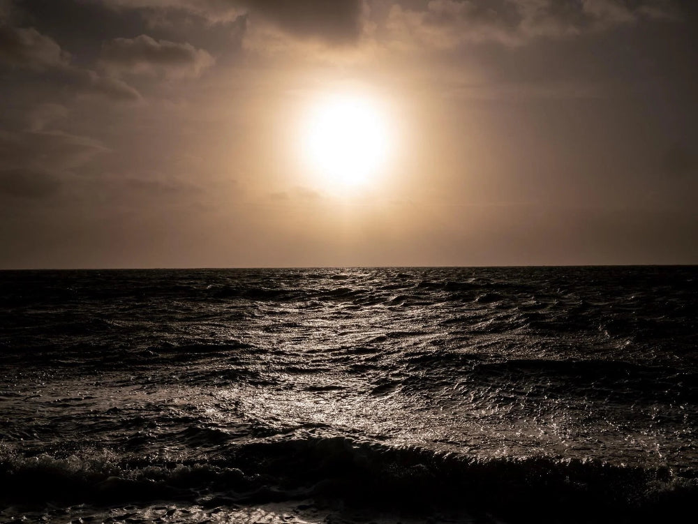 Making Light - Kate Davies