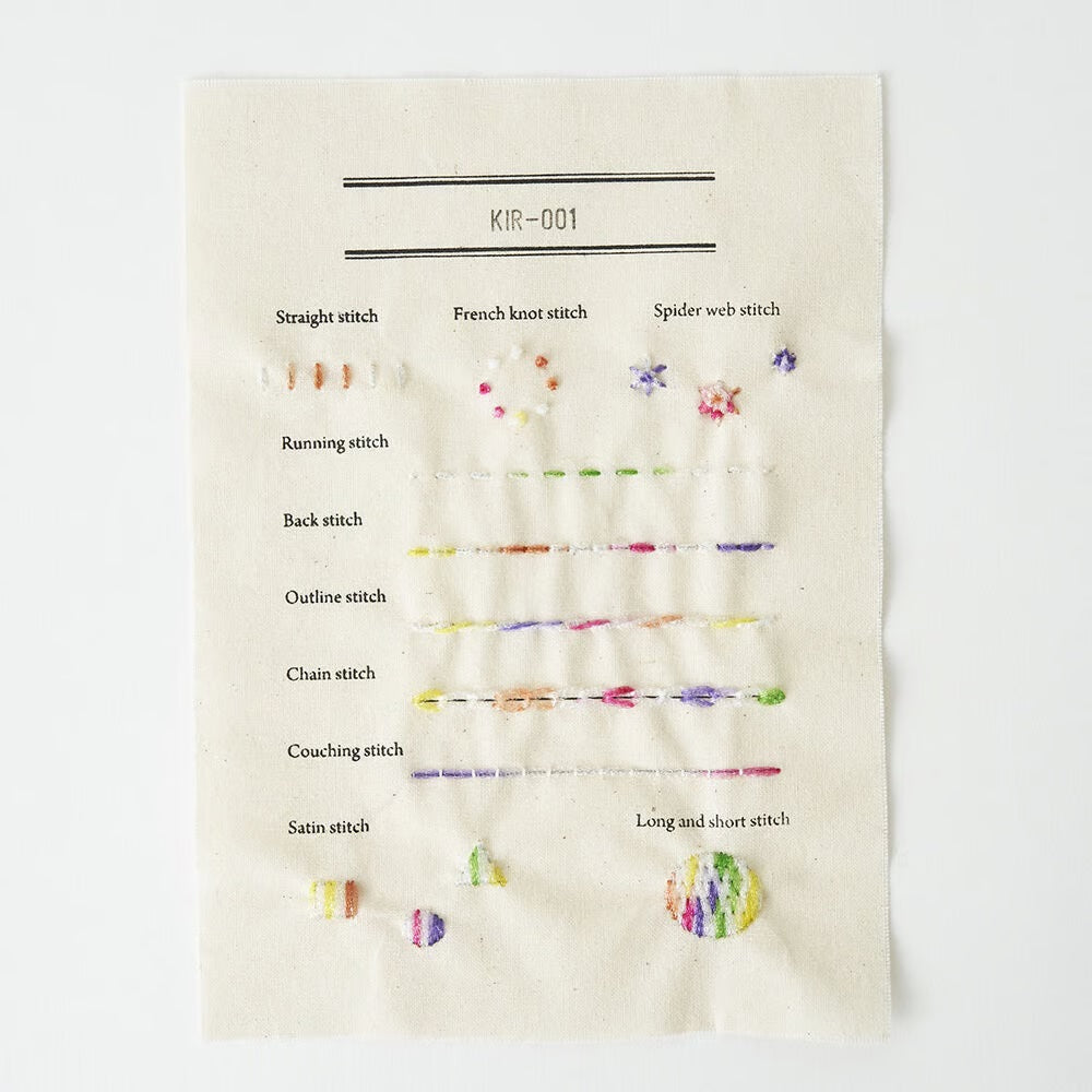 Canvas chart with embroidery stitches labeled on a white background