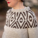Person wearing a patterned sweater with a blurred natural background