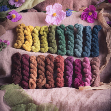 Colorful yarn skeins arranged in a gradient on a textured surface with flowers.
