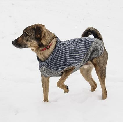 BSF - Bird Island Dog Sweater