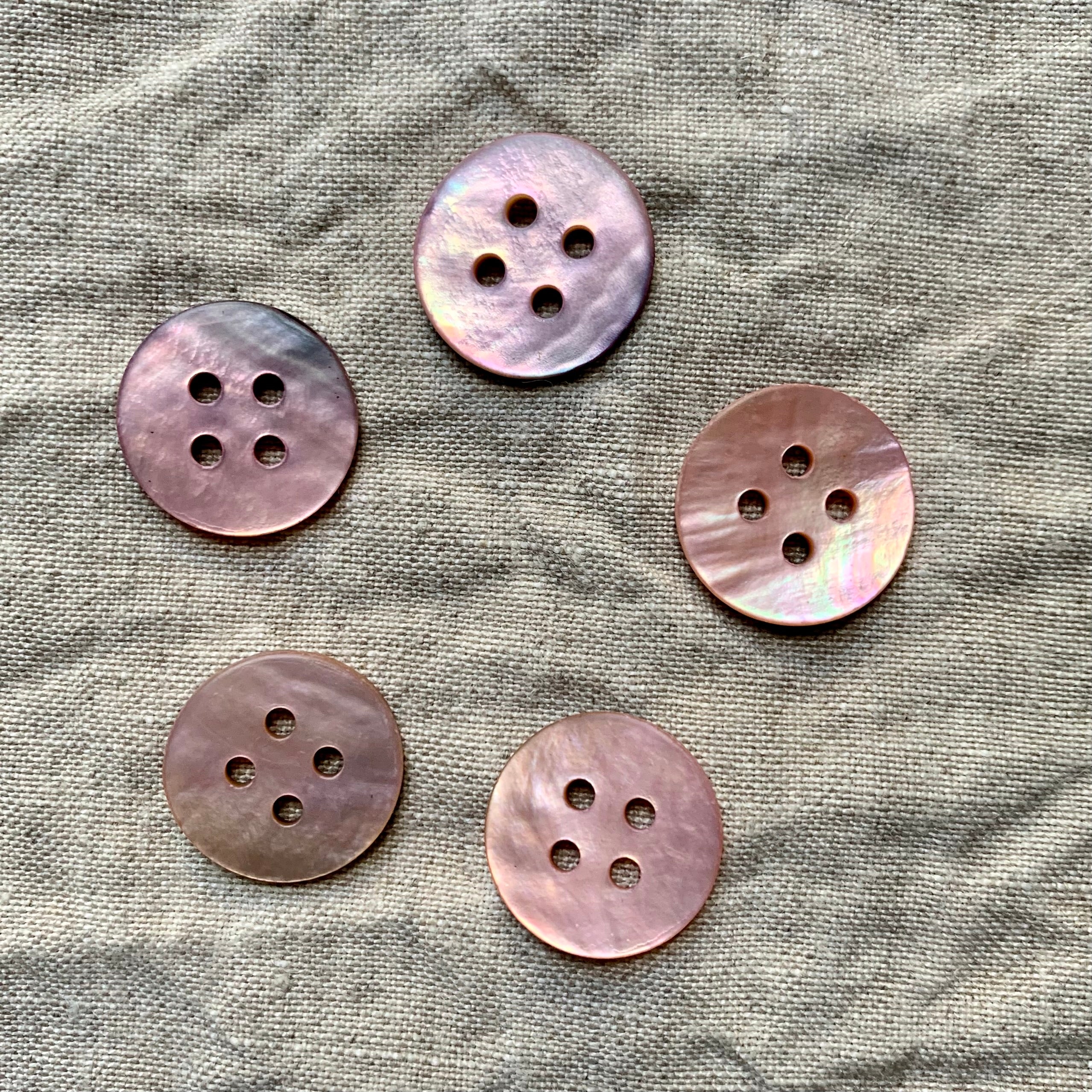 Rose Shell Buttons