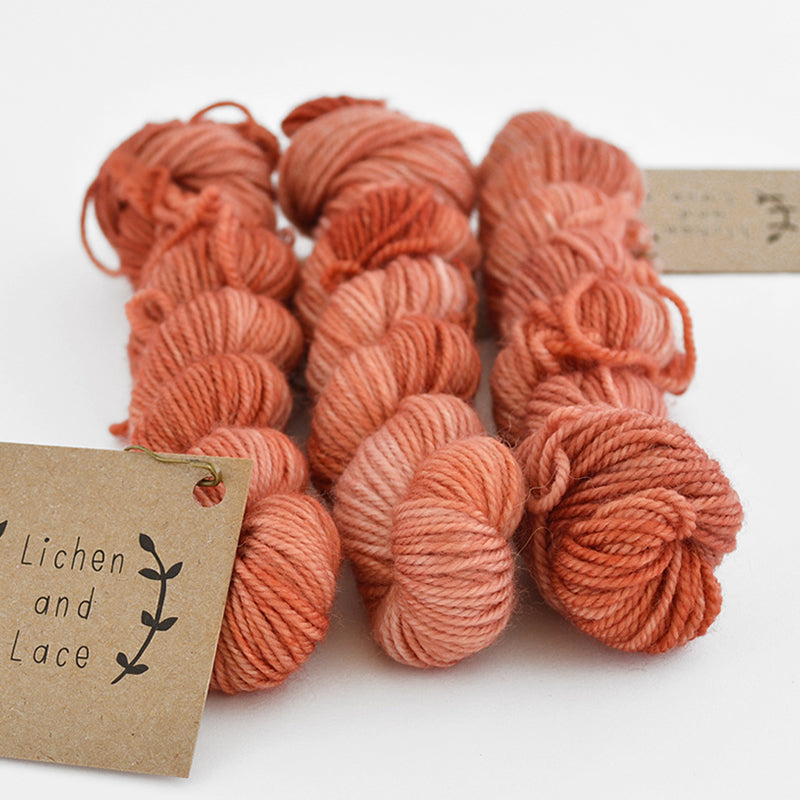 Lichen and Lace - Sock Minis
