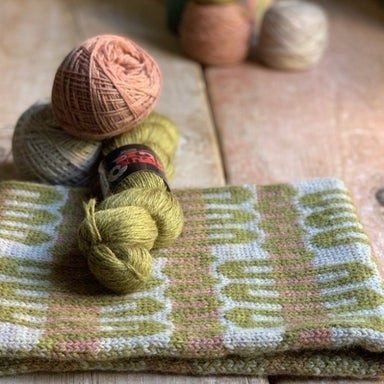 Darning Yarn Set # 2 by Clover – Seed Stitch Studio